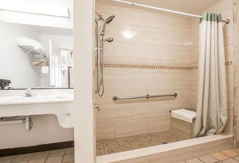 장애인을 위한 킹사이즈 침대 스탠다드 룸, Palm Inn Hotel Near Tyler Mall Riverside