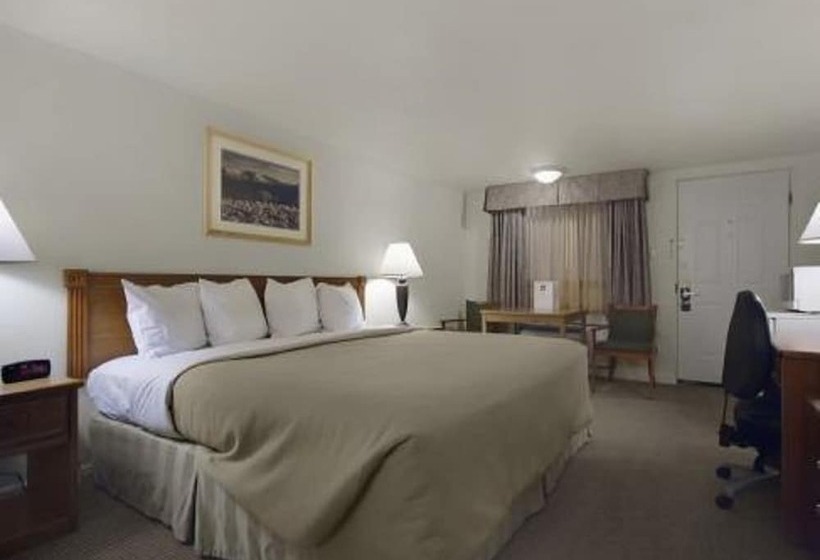 Номер Стандарт Кровать Кинг Адаптированный для Инвалидов, Magnuson Hotel Park Vue