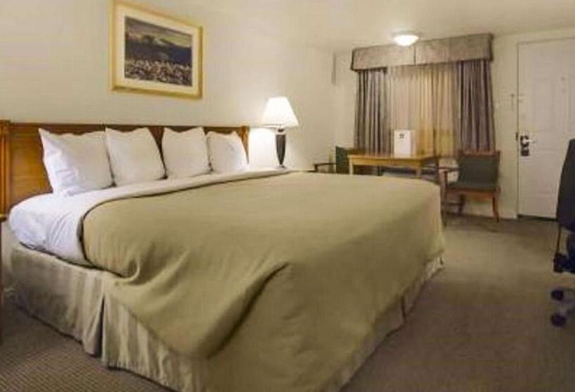 Стандартный Номер Кровать Кинг, Magnuson Hotel Park Vue