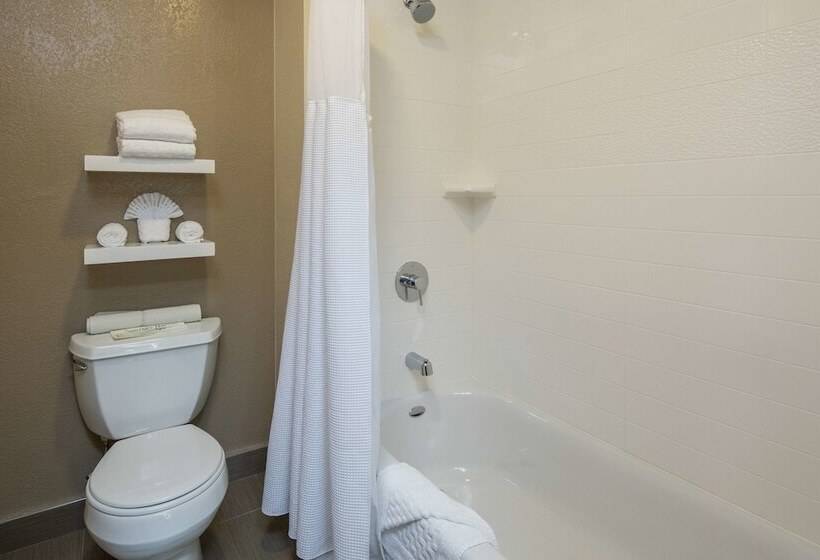 이그제큐티브 룸, Best Western Silicon Valley Inn