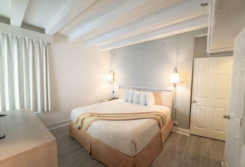 带大床的套房, Broadmore Miami Beach