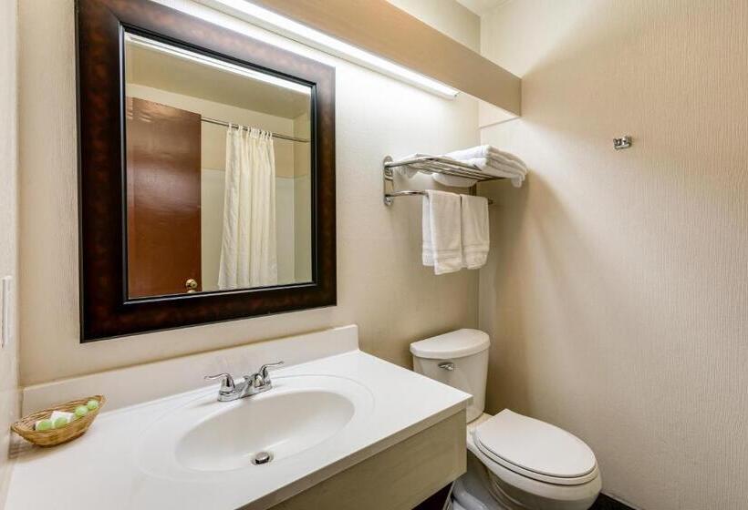 اتاق استاندارد با تخت بزرگ, Coachman Inn