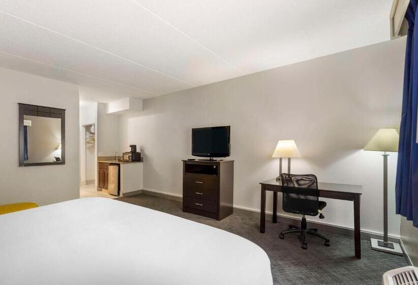 Номер Стандарт Кровать Кинг Адаптированный для Инвалидов, Comfort Inn & Suites Mundeleinvernon Hills