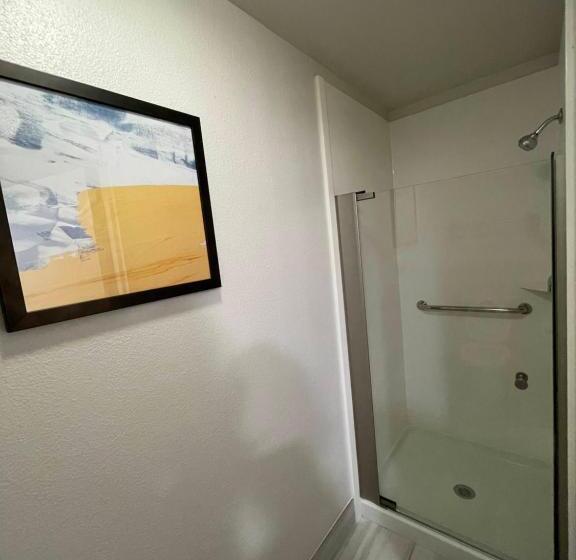 Президентский Люкс, Comfort Inn & Suites Mundeleinvernon Hills
