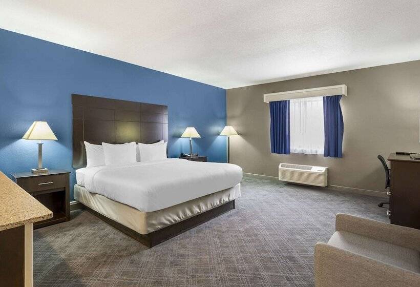 Люкс, Comfort Inn & Suites Mundeleinvernon Hills