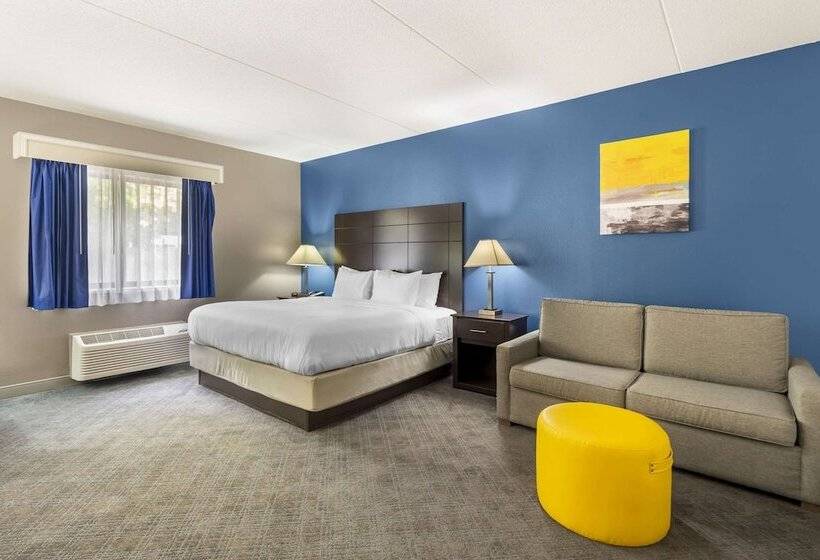 Люкс, Comfort Inn & Suites Mundeleinvernon Hills
