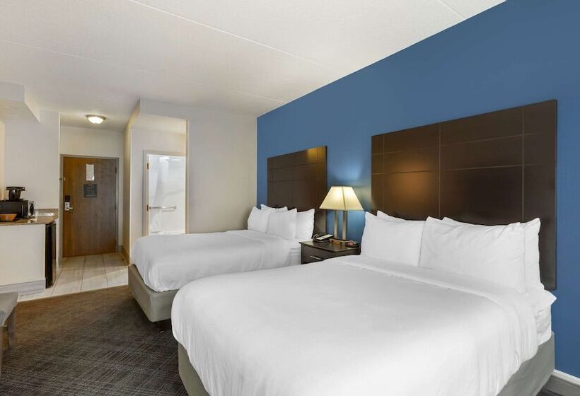 Номер Стандарт 2 Двуспальные Кровати, Comfort Inn & Suites Mundeleinvernon Hills