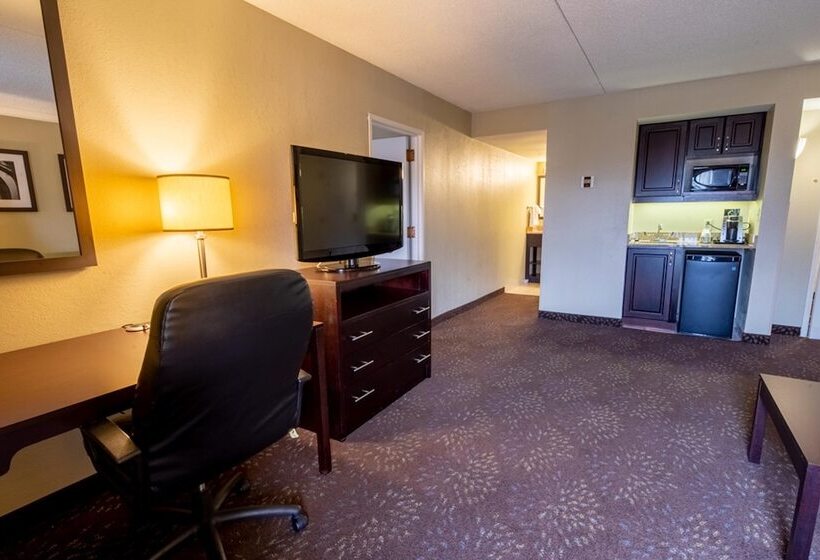 سوییت, Holiday Inn Express Hotel & Suites Pittsburgh Airport, An Ihg