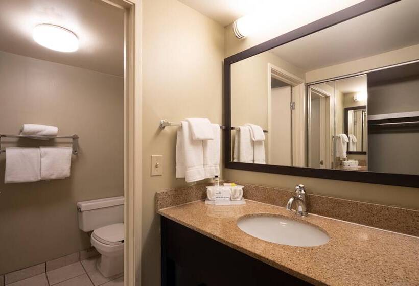 سوییت, Holiday Inn Express Hotel & Suites Pittsburgh Airport, An Ihg