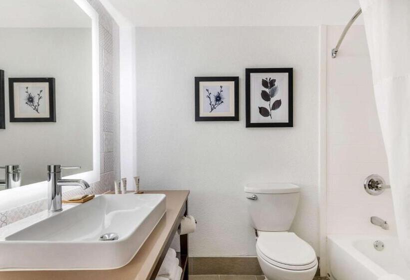 스탠다드 스튜디오 킹침대, Country Inn & Suites By Radisson, Atlanta Airport South, Ga