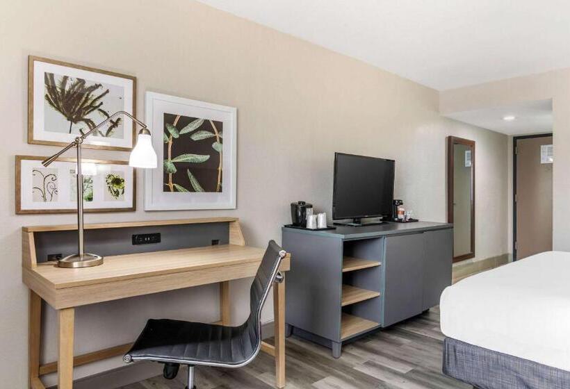 스탠다드 룸 킹사이즈 침대, Country Inn & Suites By Radisson, Atlanta Airport South, Ga