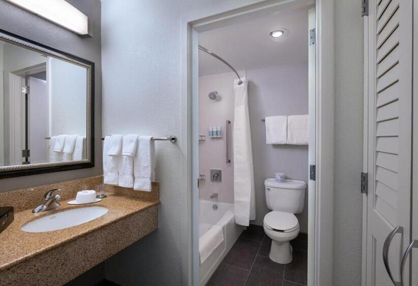 Habitació Estàndard, Courtyard By Marriott Dallas Arlington Entertainment District