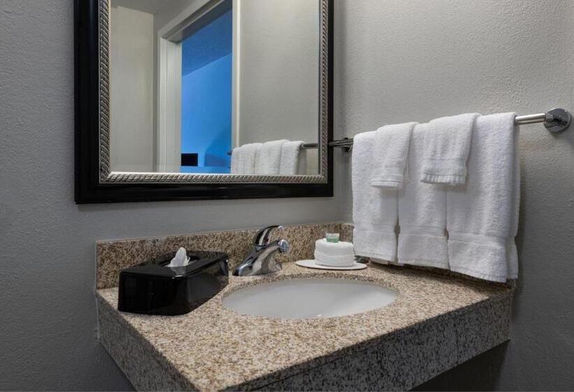 Suite Llit King, Courtyard By Marriott Dallas Arlington Entertainment District