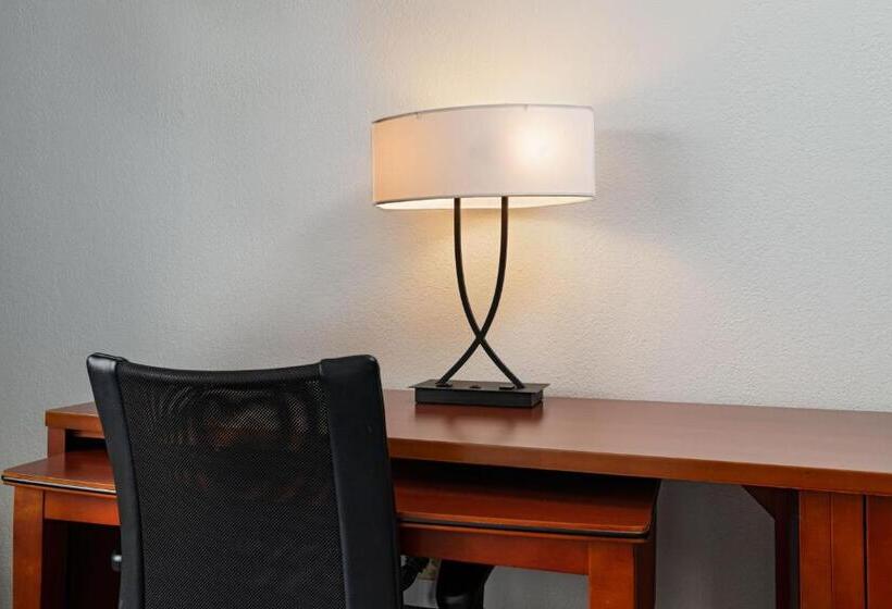 Suite Llit King, Courtyard By Marriott Dallas Arlington Entertainment District