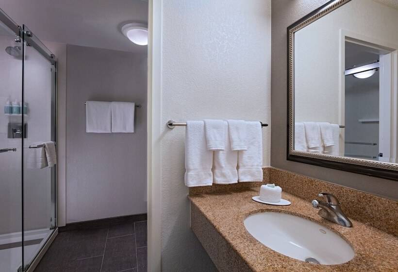 Suite, Courtyard By Marriott Dallas Arlington Entertainment District