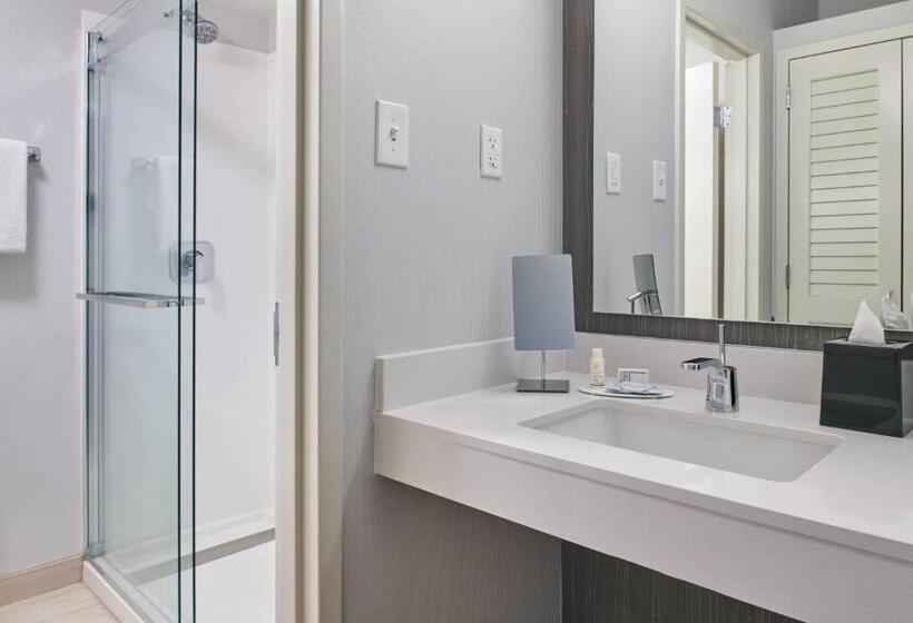 套房, Courtyard By Marriott Indianapolis Castleton