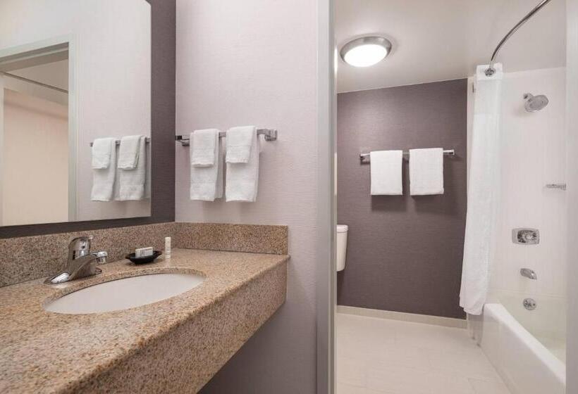 Стандартный Номер Кровать Кинг, Courtyard Sacramento Rancho Cordova