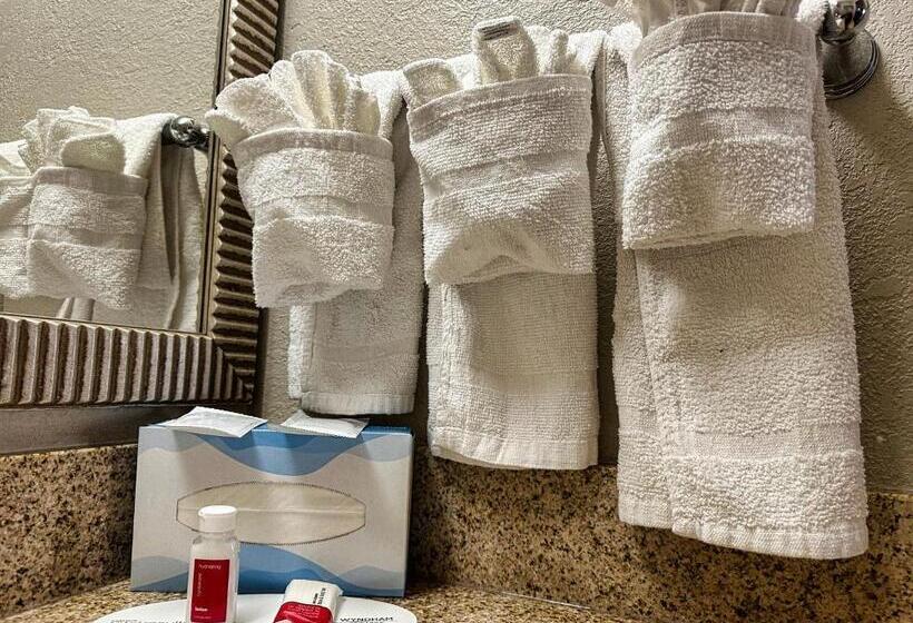 스탠다드 룸 킹사이즈 침대, Days Inn By Wyndham Westend Alexandria,va Washington Dc Area