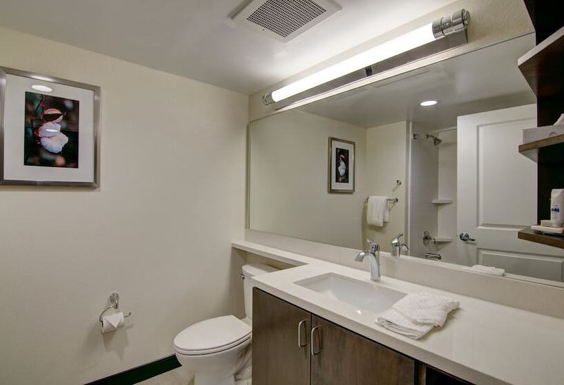 Люкс, Candlewood Suites Richmond   West Broad, An Ihg