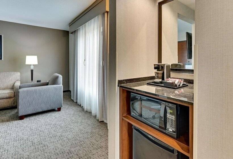 Люкс Адаптированный для Инвалидов, Drury Plaza Hotel St. Paul Downtown