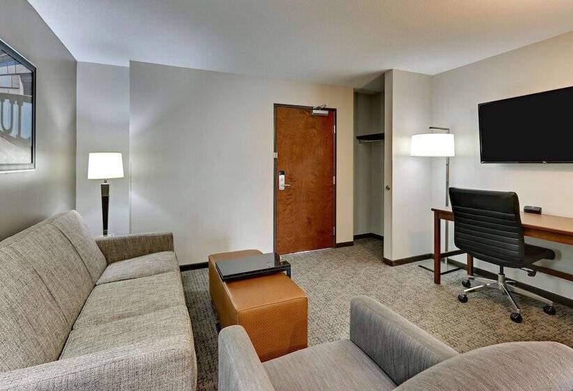 Люкс Адаптированный для Инвалидов, Drury Plaza Hotel St. Paul Downtown