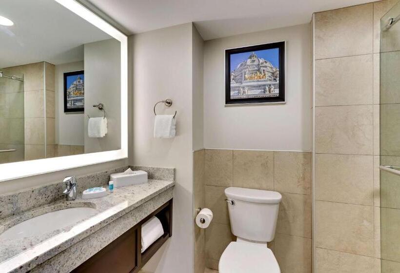 Люкс Deluxe Кровать Кинг, Drury Plaza Hotel St. Paul Downtown