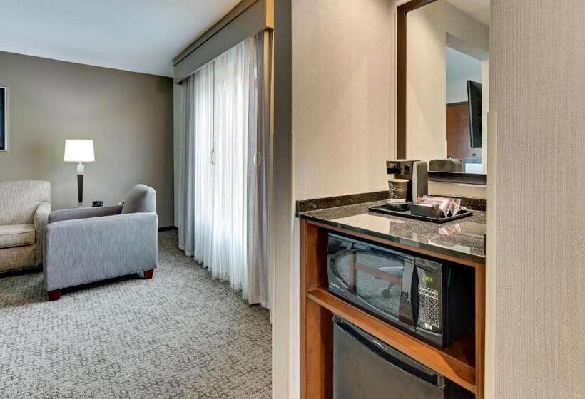 Люкс Адаптированный для Инвалидов, Drury Plaza Hotel St. Paul Downtown
