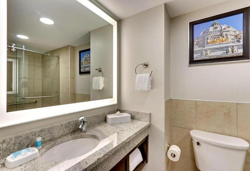 Люкс Superior, Drury Plaza Hotel St. Paul Downtown