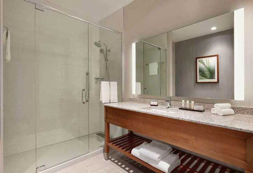 Suíte Premium, Embassy Suites By Hilton Atlanta Perimeter Center