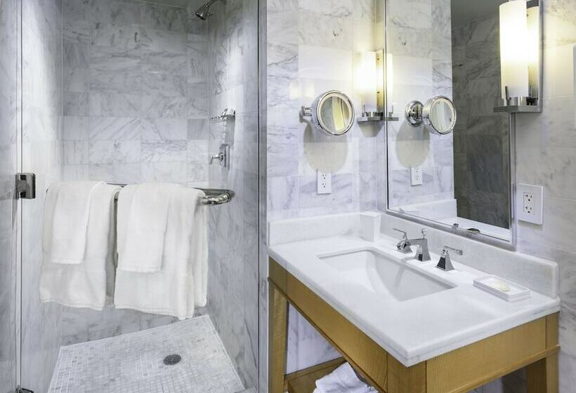 带观景的豪华间, Fontainebleau Miami Beach