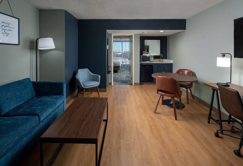 סוויטה אקזקיוטיב, Four Points By Sheraton Suites Tampa Airport Westshore