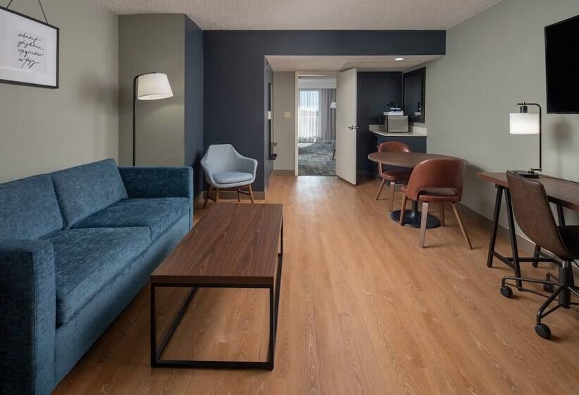 סוויטה מותאמת לאדם עם מוגבלויות, Four Points By Sheraton Suites Tampa Airport Westshore