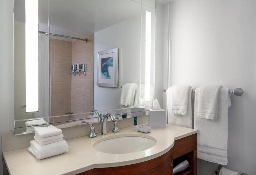 סוויטה דלוקס, Four Points By Sheraton Suites Tampa Airport Westshore