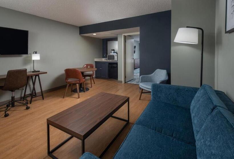 סוויטה דלוקס, Four Points By Sheraton Suites Tampa Airport Westshore