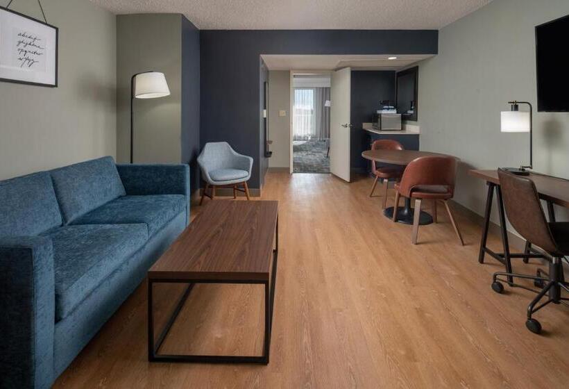 חדר דלוקס עם מיטת קינג, Four Points By Sheraton Suites Tampa Airport Westshore