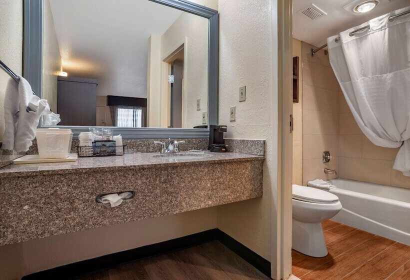 Номер Стандарт 2 Двуспальные Кровати, Best Western Salisbury Plaza