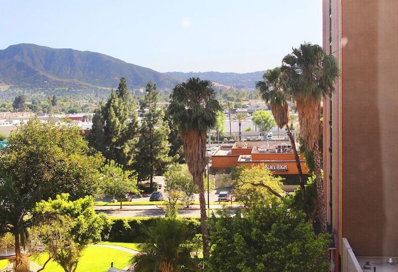 豪华房间, Burbank