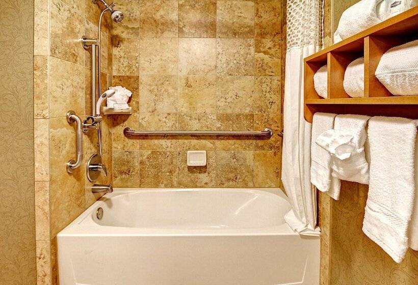 장애인을 위한 킹사이즈 침대 스탠다드 룸, Hampton Inn Nashville/brentwoodi65s