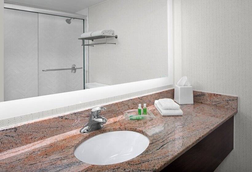Номер Стандарт, Holiday Inn Hasbrouck Heights Meadowlands, An Ihg