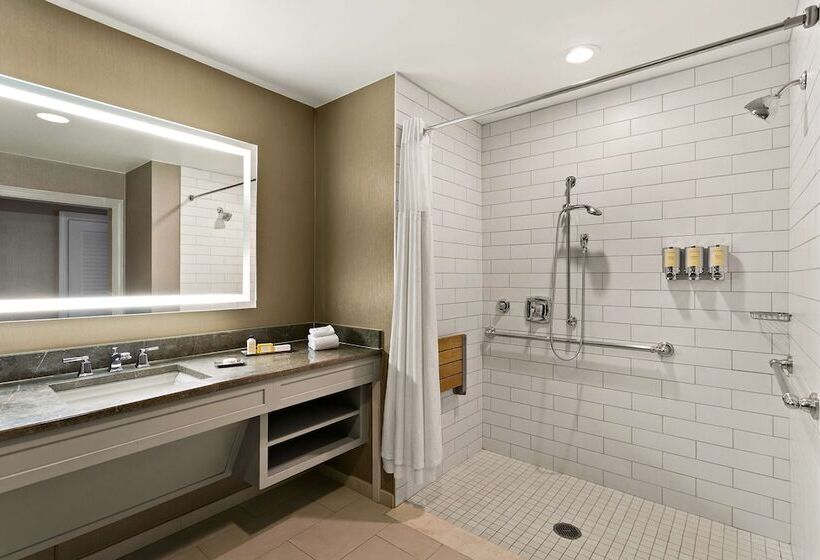 身障者適用ダブルベッド付きスタンダードルーム, The Royal Sonesta Harbor Court Baltimore