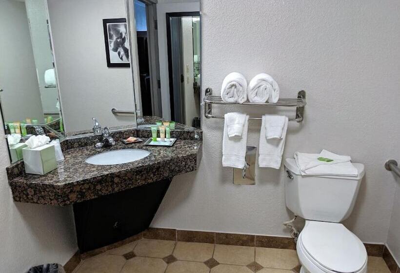 سوییت لوکس, Wyndham Garden Charlotte Airport Southeast