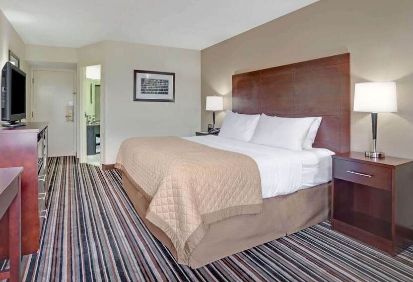 سوییت, Wyndham Garden Charlotte Airport Southeast