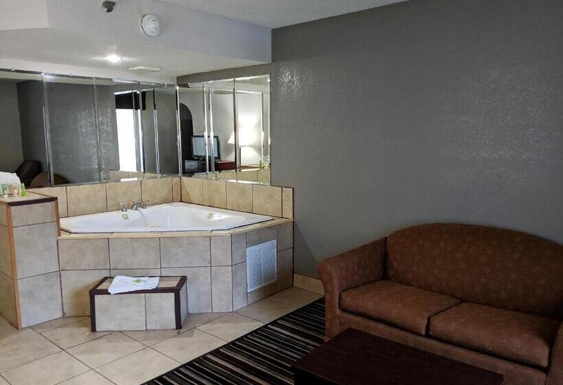 سوییت لوکس, Wyndham Garden Charlotte Airport Southeast