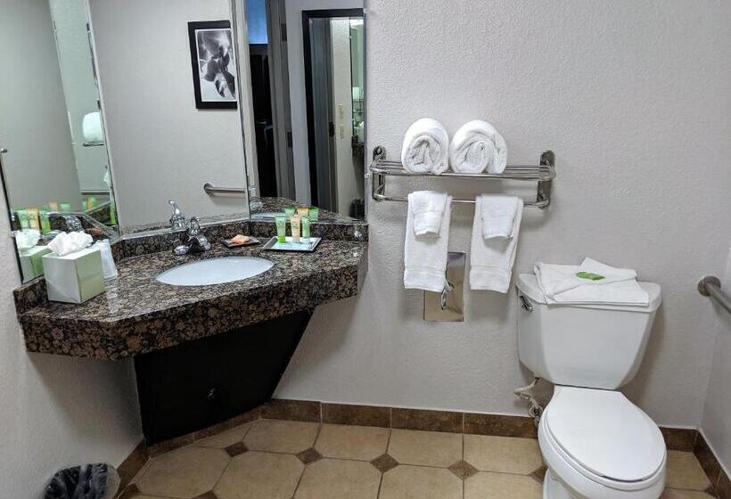 سوییت, Wyndham Garden Charlotte Airport Southeast
