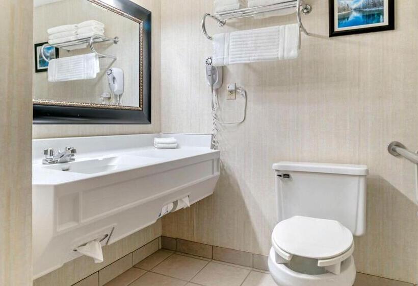 장애인을 위한 킹사이즈 침대 스탠다드 룸, Comfort Inn