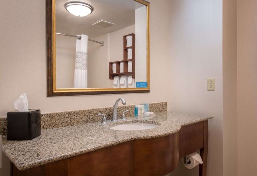 Студия Стандарт, Hampton Inn & Suites Jekyll Island
