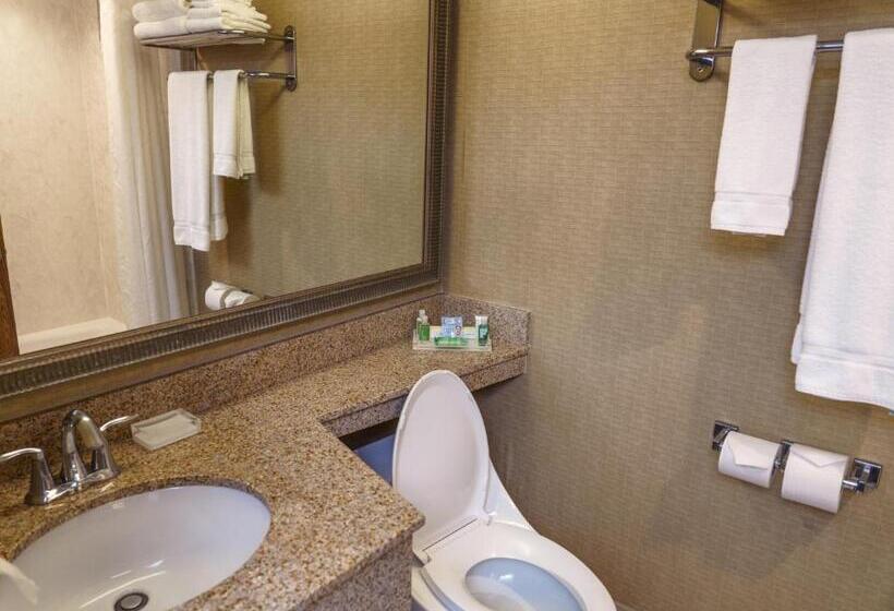 标准间, Holiday Inn New Orleans Downtown Superdome, An Ihg
