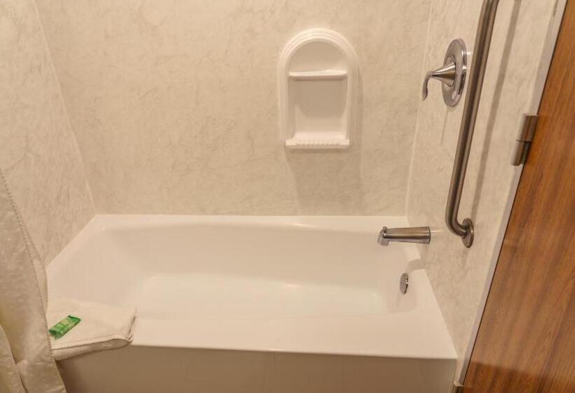 이그제큐티브 룸 킹사이즈 침대, Holiday Inn New Orleans Downtown Superdome, An Ihg
