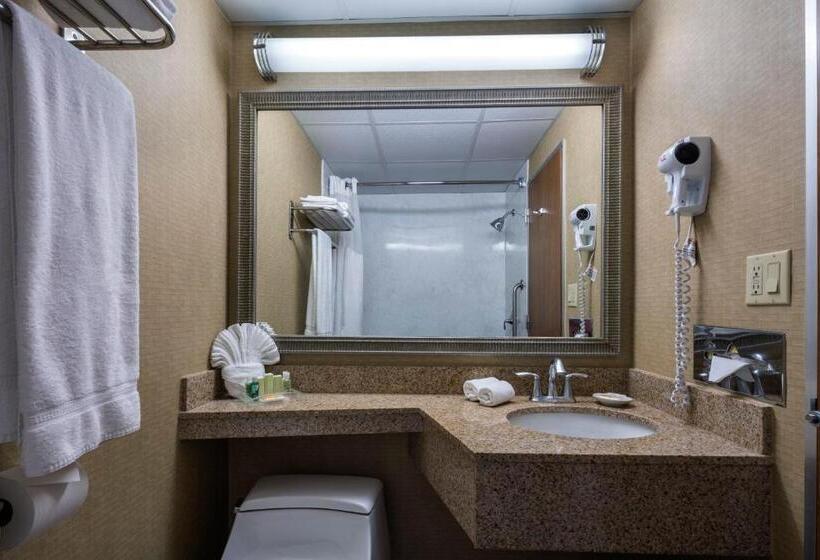 이그제큐티브 룸, Holiday Inn New Orleans Downtown Superdome, An Ihg