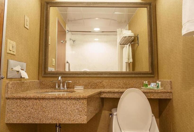 行政房间, Holiday Inn New Orleans Downtown Superdome, An Ihg